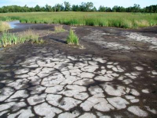 V Krkonoších vzniká Geopark